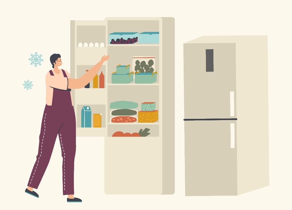 como escolher um frigorifico para poupar